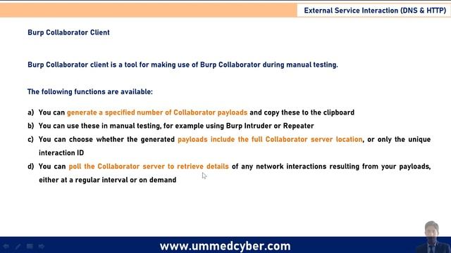 External Service Interaction (DNS & HTTP) POC using Burp Suite (Collaborator Client) смотреть онлайн