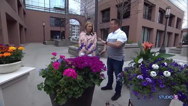 Container Gardening 2023: 5 reminders before you get planting смотреть онлайн