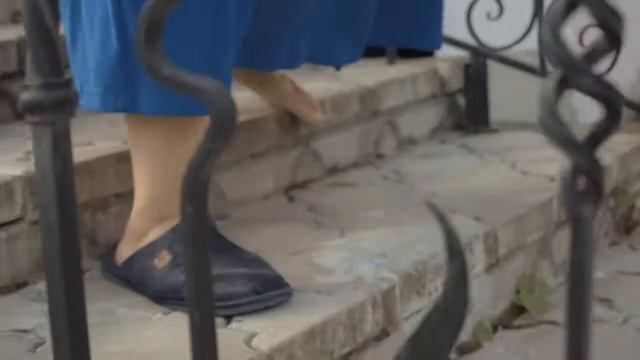 Бедный котик(. Коты vs Зомби. смотреть онлайн