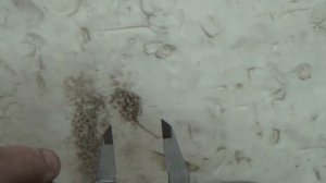 Обзор газоновского "пяточка" Я 101.