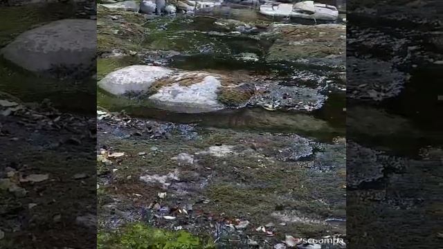 Изумрудная вода. Горная река. .Mountain river смотреть онлайн