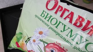 Биогумус для комнатных растений: и почву удобрит, и обеспечит растения питанием #биогумус#ютуб