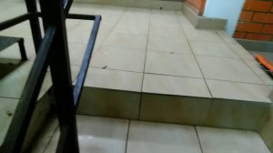 Отдых в Сочи у Ирины посёлок Лоо