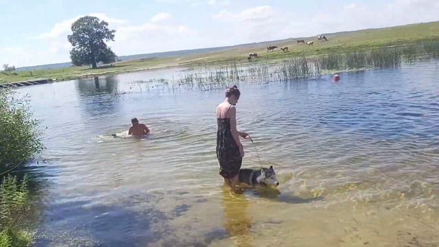 Поездка в деревню. Июнь 2022.х.Яминский смотреть онлайн