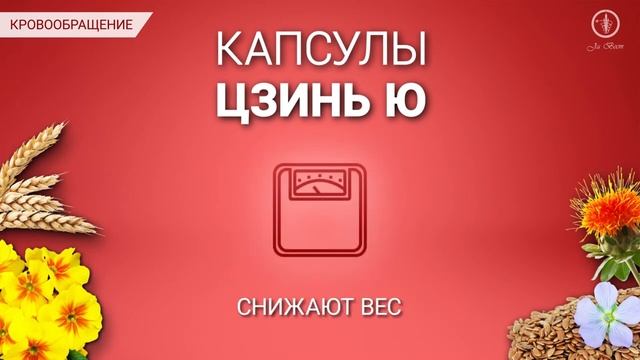 Капсулы «Цзинь ю» смотреть онлайн