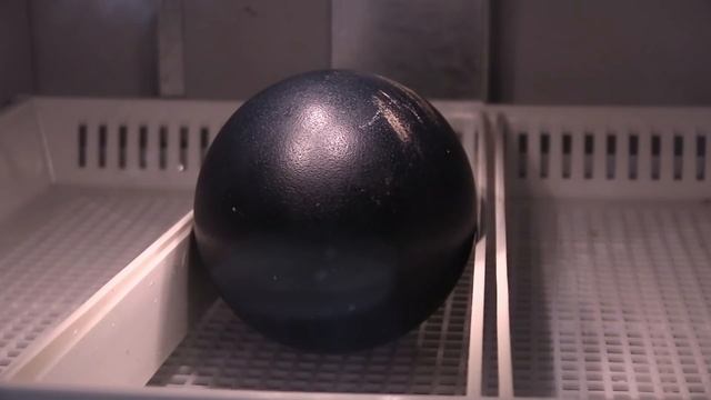 These are NOT your normal big, green eggs. смотреть онлайн