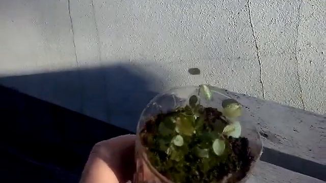 Строительные Танцы