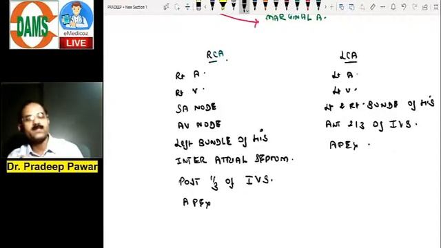 DAMS Interactive Class: Anatomy | Heart Anatomy by Dr Pradeep Pawar | NEET PG NEXT INI-CET MBBS смотреть онлайн