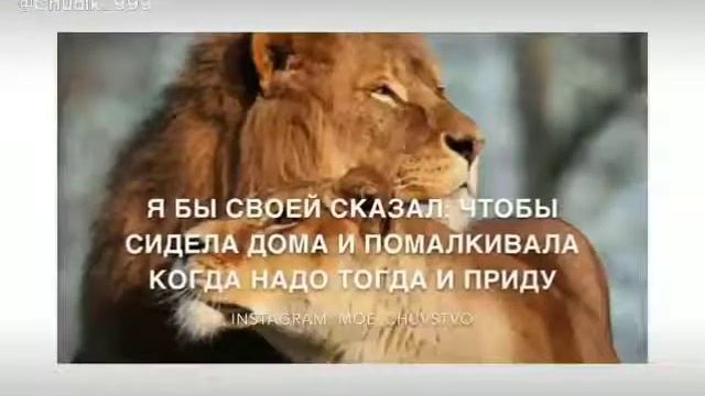 Крутой.лев смотреть онлайн