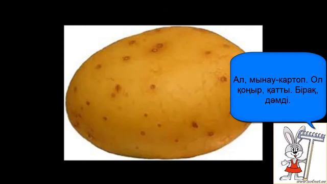 Қазақ тілі  Жемістер