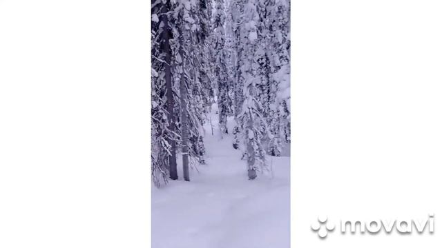 поехал на таежную речку, и озеро так и не смог пробраться. с первого раза смотреть онлайн