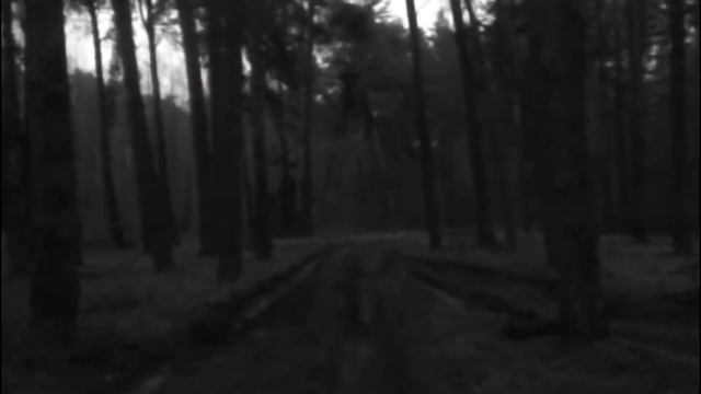 Дикулька.Прогулка на природе.Зима 2018. смотреть онлайн