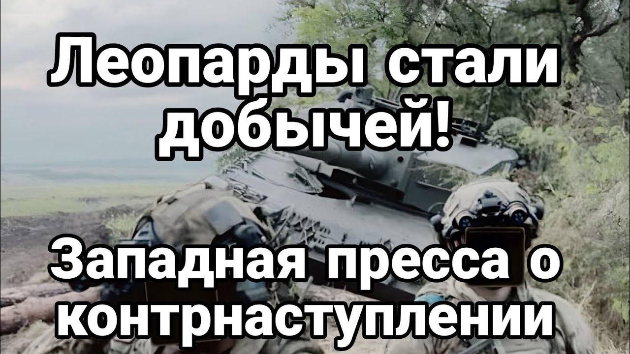 Леопарды 0ПЯТЬ ВЛИПЛИ!