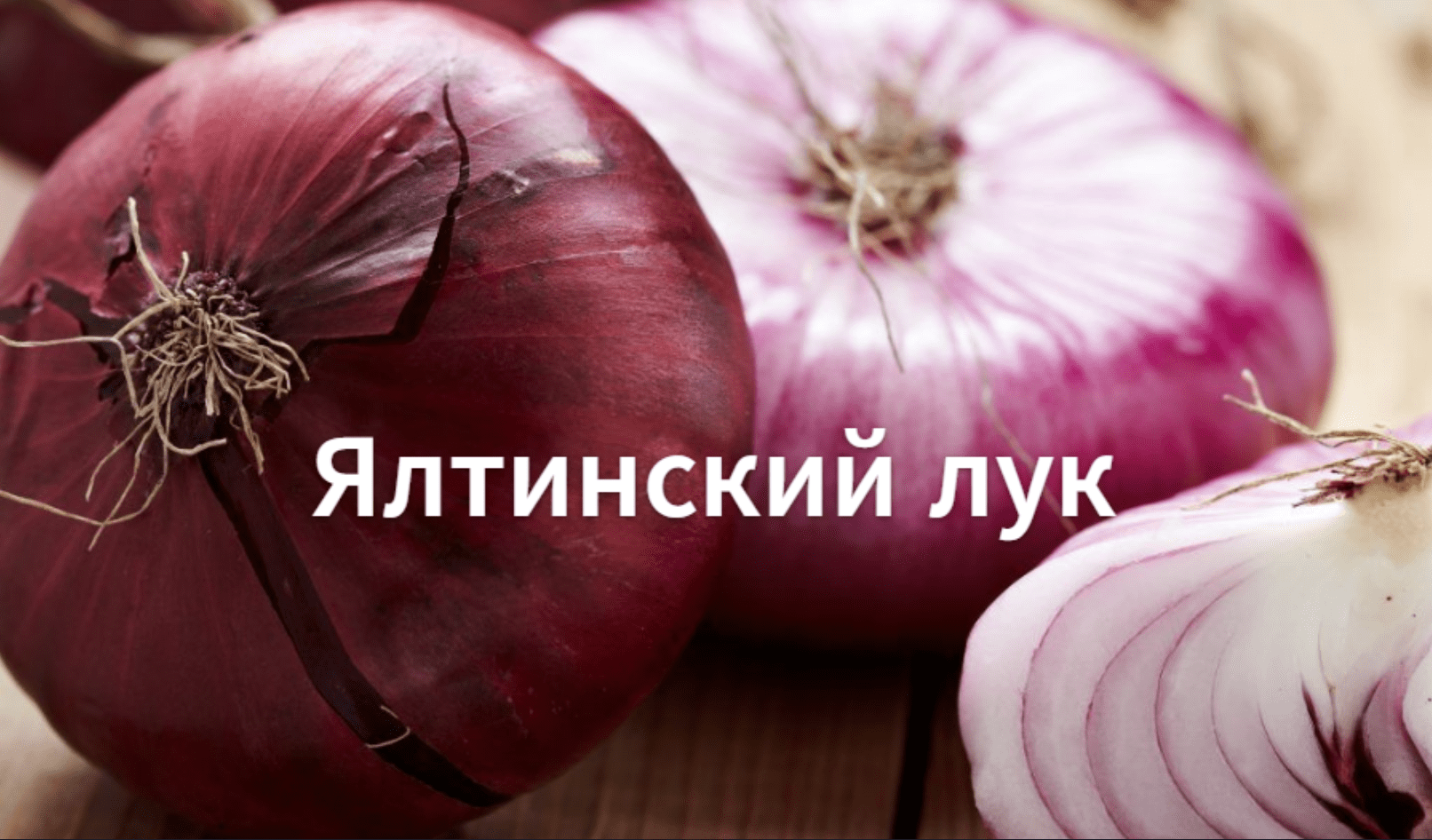 Как сажать ялтинский лук. Выращиваем ялтинский лук из семян на рассаду. смотреть онлайн