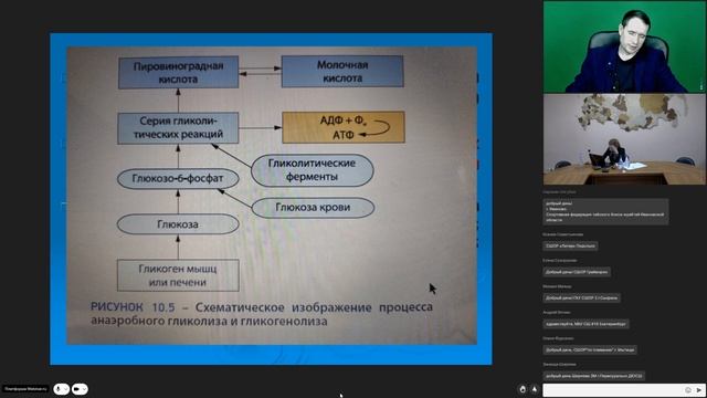 Максименко И.Г. - система энергообеспечения мышечной деятельности смотреть онлайн