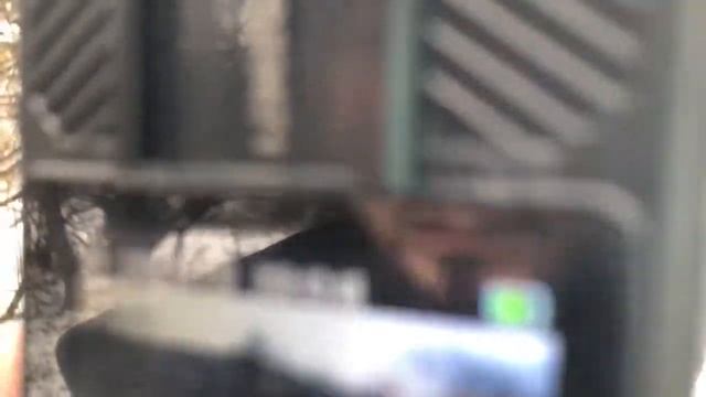 ?Пять персональных носимых регистраторов получило Минприроды Ингушетии смотреть онлайн