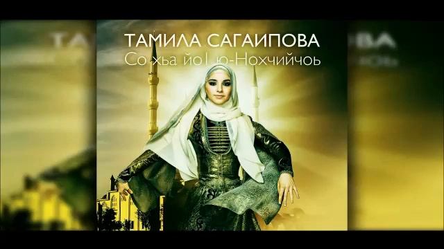 тамила сагаипова мысли о тебе (misli O Tebe) (thin
