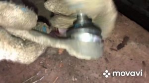 Замена пыльника рулевой тяги на Рено Сандеро