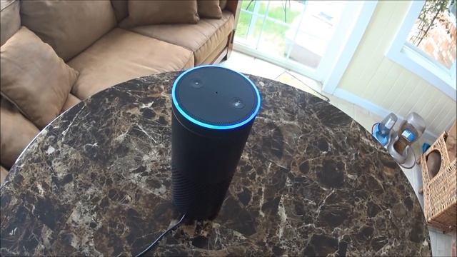 США Alexa Amazon Echo Я, две Кошки и Алекса 4 женщины в доме! смотреть онлайн