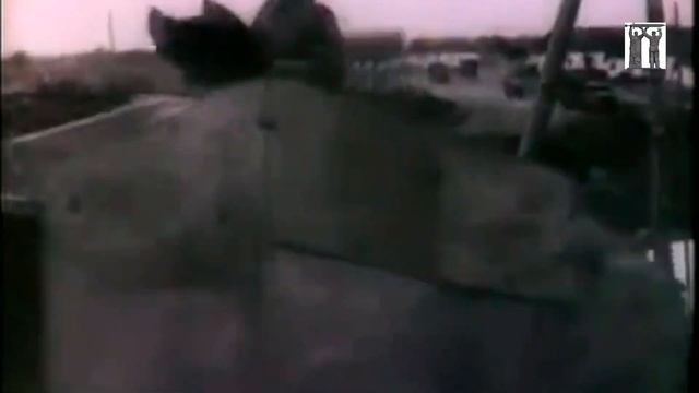 Горели "тигры" и "пантеры". Как освобождали БССР в 1943 смотреть онлайн