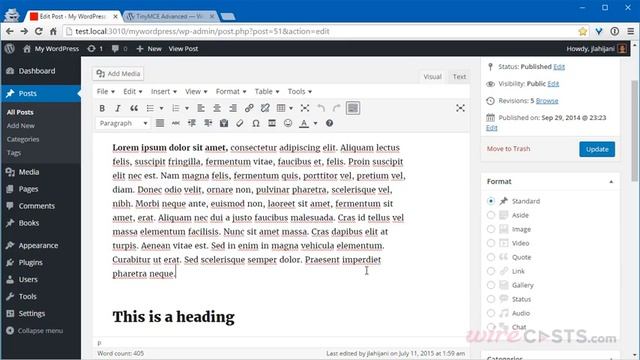 WordPress vs. ProcessWire - Visual WYSIWYG Editor смотреть онлайн