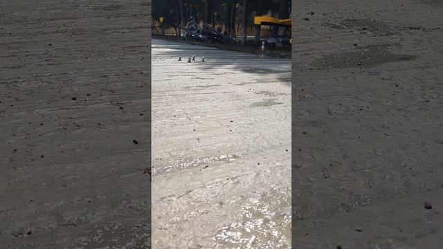 BETON YONMA,HAMARLAMA İŞLƏRİ 0554477794 ENBC GROUP ШЛИФОВКА БЕТОНА Азербайджан