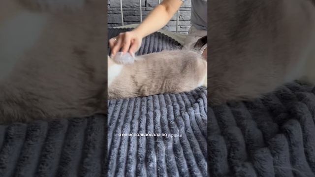 ЛУЧШАЯ ЩЕТКА ДЛЯ ВЫЧЕСЫВАНИЯ КОШЕК И СОБАК!