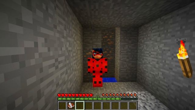 ЛЕДИ БАГ ИЩЕТ СУПЕР КОТА КОТОРЫЙ ПРОПАЛ В МАЙНКРАФТ ЛЕДИ БАГ И СУПЕР КОТ 4 СЕЗОН MINECRAFT смотреть онлайн