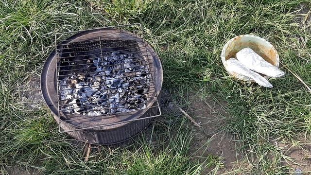 Морской окунь на мангале в фольге и на решетке смотреть онлайн