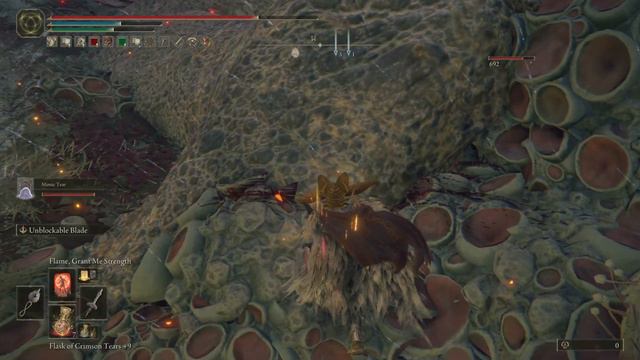 ELDEN RING Dragon Greyoll Cheese Prophet Solo смотреть онлайн