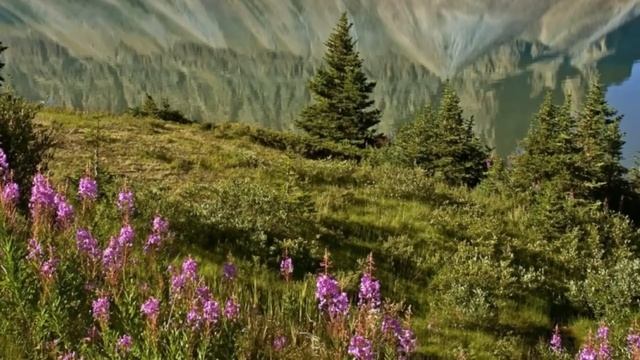 Бездомные спасли девушку. Тогда они ещё не знали, как изменится их жизнь спустя год смотреть онлайн