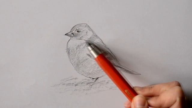 Цанговый карандаш KOH-I-NOOR Versatil 5347. ОБЗОР. Как точить цанговые карандаши? смотреть онлайн