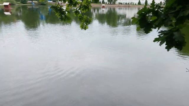 Николо-Угрешский монастырь. 28.06.16 смотреть онлайн