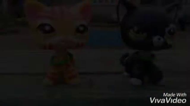 Ну всё норм.клипок золотыми рыбками смотреть онлайн