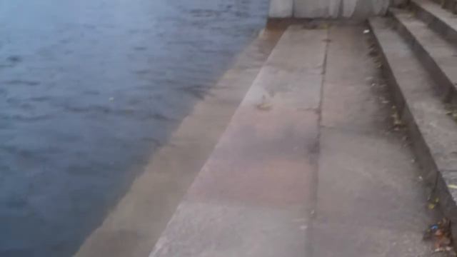 Набережная реки Карповки в Петербурге смотреть онлайн