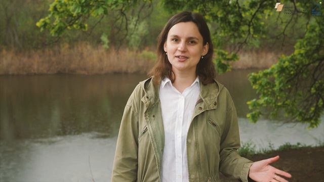 Описание проекта: "Реки России: Волго-Ахтубинская пойма" смотреть онлайн