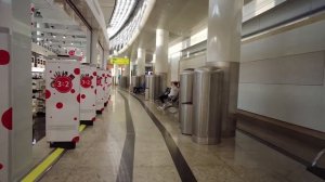 Шереметьево терминал D  обзор