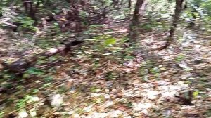 Кисловодский бардак! Кощунства на кладбище! 15.10.2023 г. часть-2.