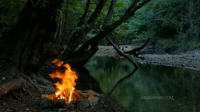 Путь Светлого Мага - Аудиокнига - Глава 1 - Маг Sargas