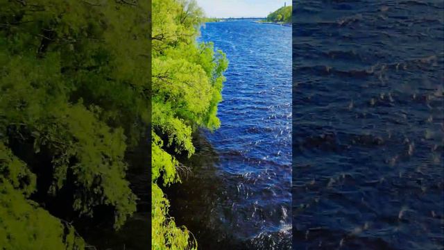 Река Сож. Гомель. смотреть онлайн