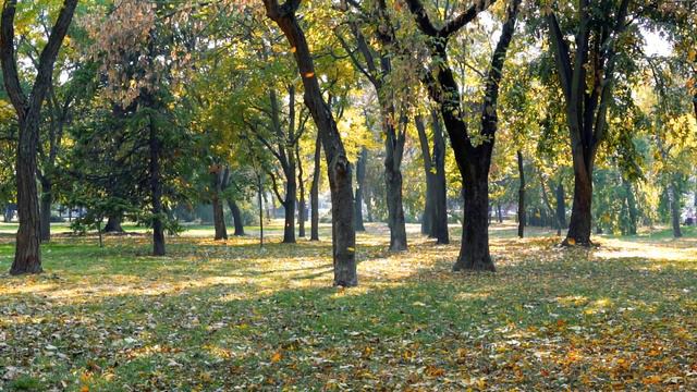 The Four Seasons (Vivaldi) - Autumn смотреть онлайн