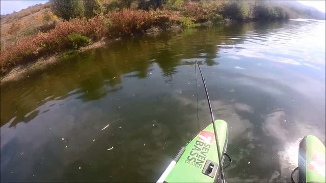 Трофеен кефал уловен на Янтра на 07 10 2016г 72,30 см на 20 12 см около 3 кг смотреть онлайн