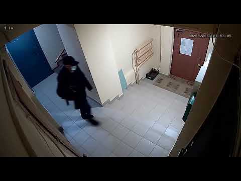 Полицейские Сыктывкара раскрыли квартирную кражу смотреть онлайн