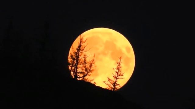 Супер луна смотреть онлайн