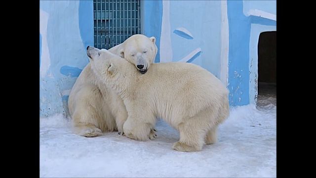 Любовь Кая и Герды 04.04.2021 смотреть онлайн