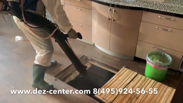 Осторожно крысы! Травля, уничтожение грызунов! смотреть онлайн