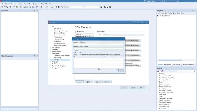 Windows Subsystem for Linux (WSL) with Delphi смотреть онлайн