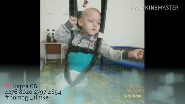 Помогите Тимке! смотреть онлайн