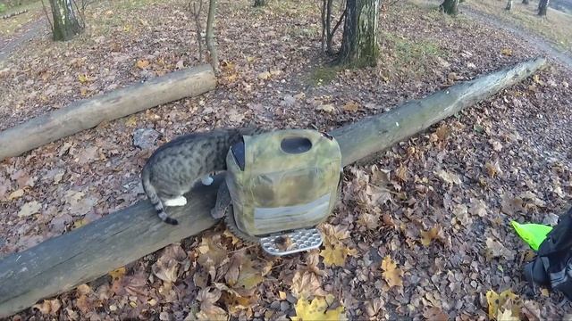 ТОТАЛЬНАЯ ДОРАБОТКА МОНОКОЛЕСА Gotway /begode Msuper V3 1600 Wh