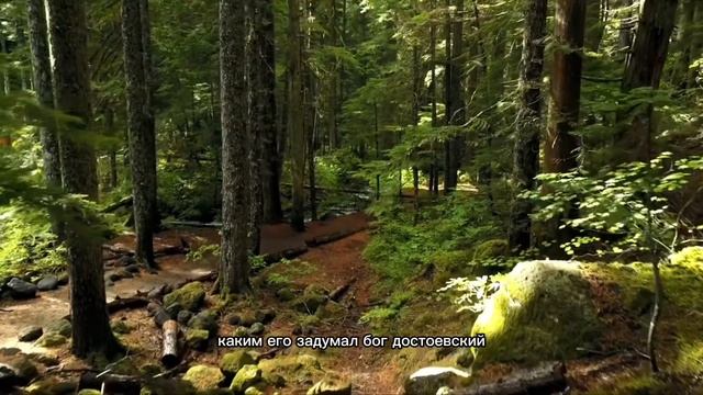 Мудрые ЦИТАТЫ великих людей с глубоким СМЫСЛОМ смотреть онлайн